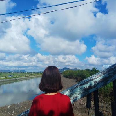 佛山私人导游干花制作象妤嫣
