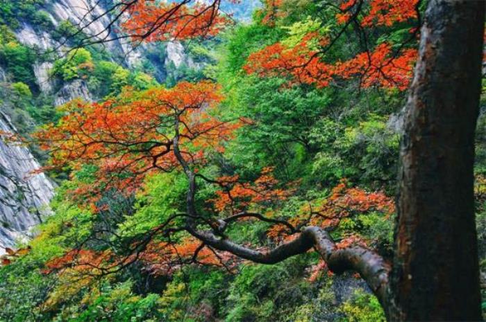 平顶山尧山风景区 平顶山尧山风景区