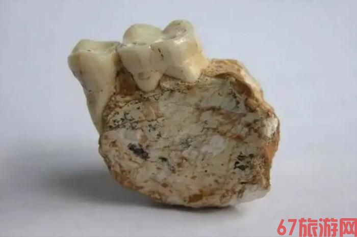 重庆中国三峡博物馆镇馆之宝是什么