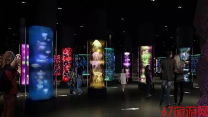 昆明花都·环球探索乐园