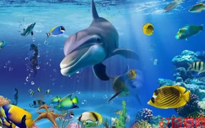 昆明花都·环球探索乐园