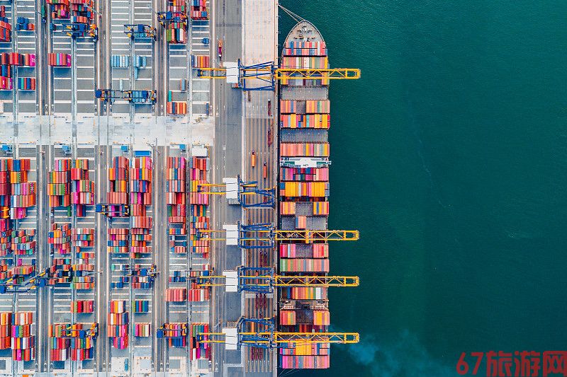 羽绒服采取中国南京门到门海运递送到新加坡