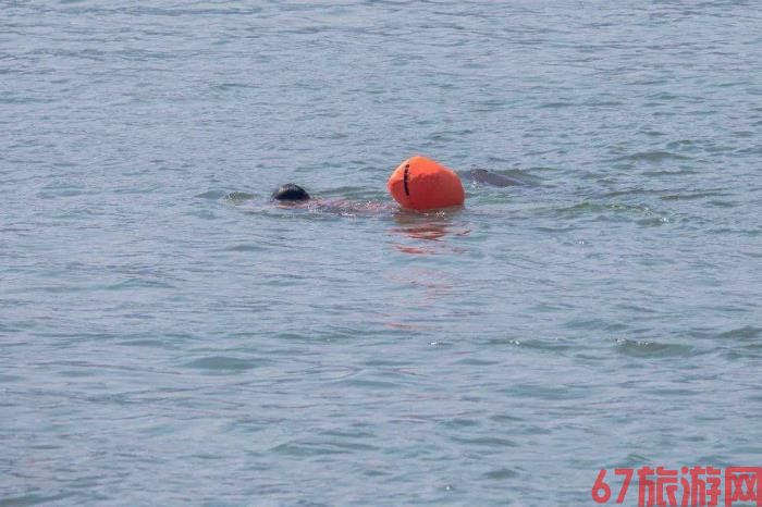 关于宜昌伴游雇用v伈2259737的信息 关于宜昌伴游雇用v伈2259737的信息