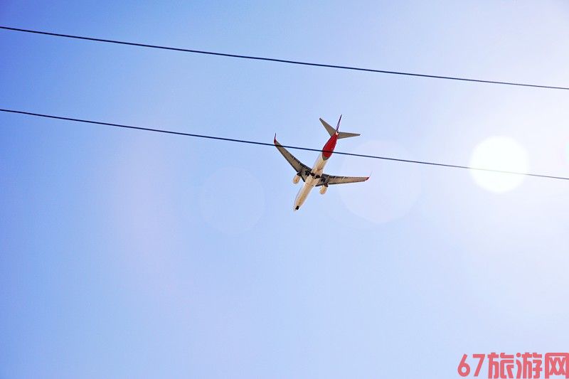 中国郑州到新加坡的蛋黄酥使用航空运输7天内送到